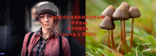 спайс Козельск