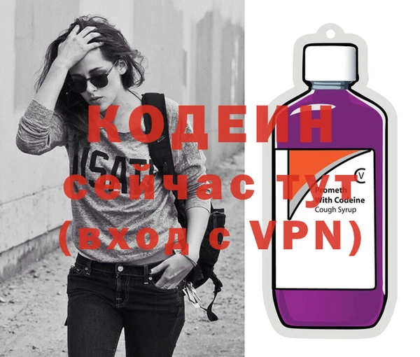 индика Кодинск