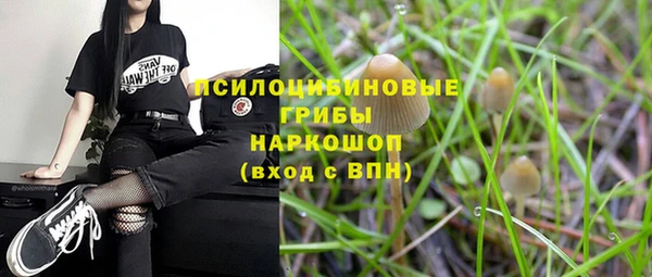 индика Кодинск