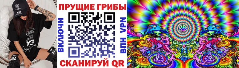 блэк спрут   цены наркотик  это телеграм  Псилоцибиновые грибы Magic Shrooms  Курчалой 