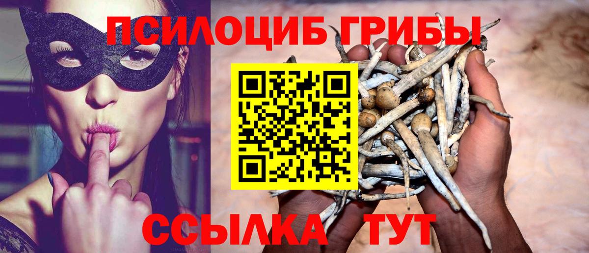 Курчалой  Псилоцибиновые грибы Magic Shrooms  Псилоцибиновые грибы мицелий  Вход с VPN 