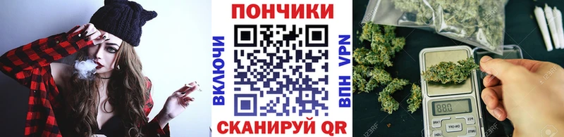 цена наркотик  Курчалой  маркетплейс какой сайт  Бошки Шишки конопля 